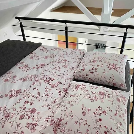 Proche Paris Et Disney-calme Absolu Villa